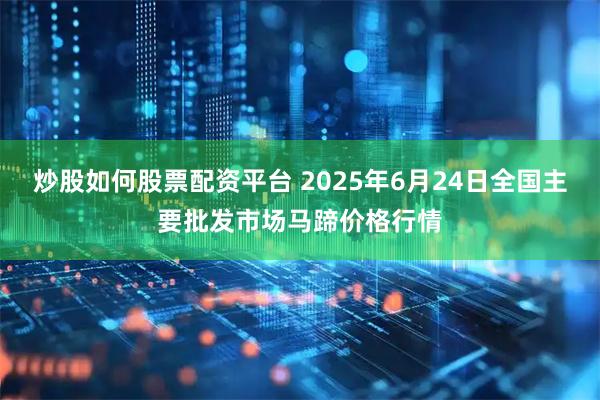 炒股如何股票配资平台 2025年6月24日全国主要批发市场马蹄价格行情