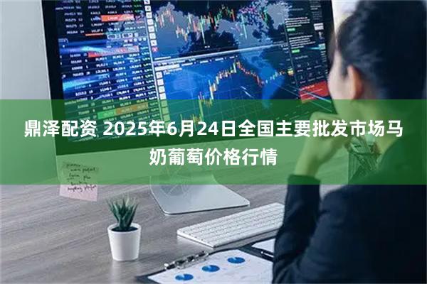鼎泽配资 2025年6月24日全国主要批发市场马奶葡萄价格行情